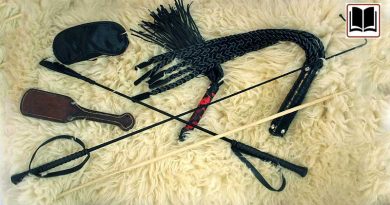 Spanking Spielzeuge, Flogger, Gerte, ROhrstock, paddle